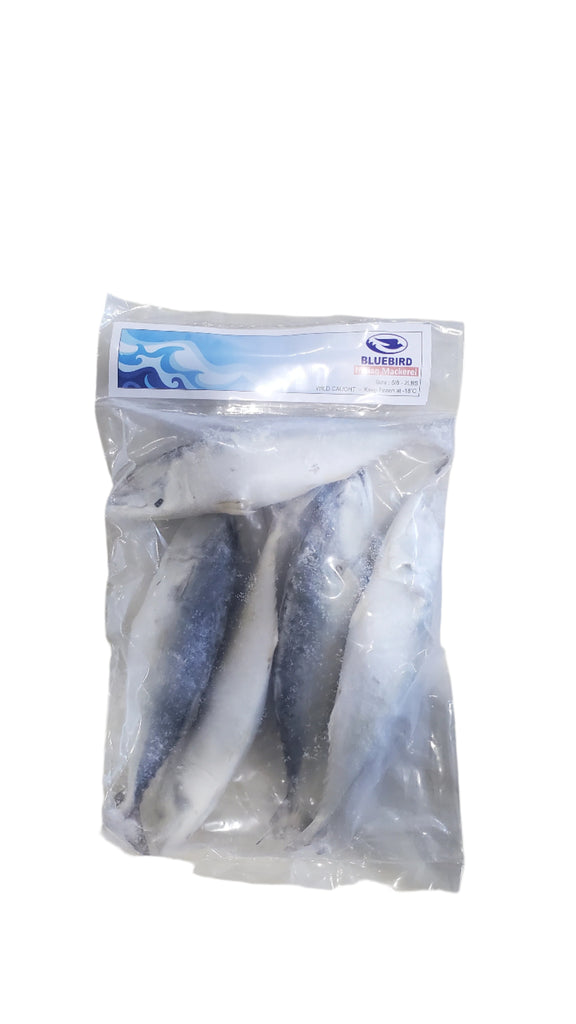 Blue Bird Indian Mackerel 2lbs